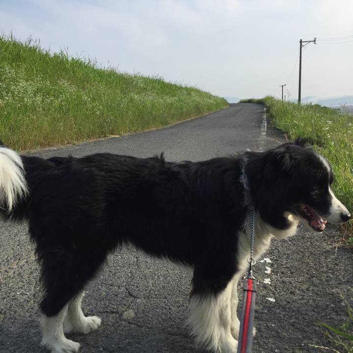 4094f5e0 2079 4a18 ab4c 91eca0c3ea1c 1560901586959