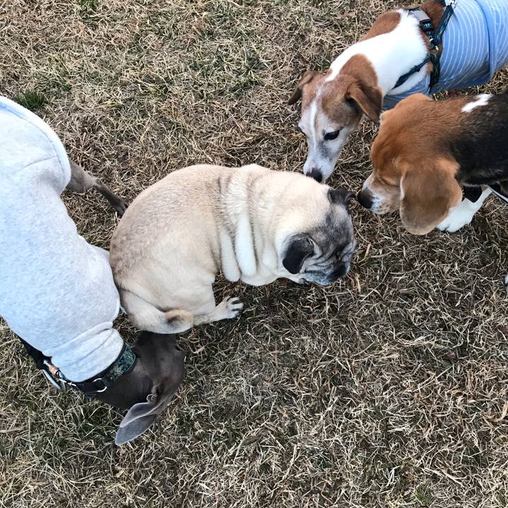 409547ff 0399 4974 a1e0 9e2c24cd80fd 1581506465744