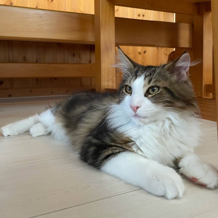 409551a9 45a2 4972 9472 0815fa19a5be 1636149766317