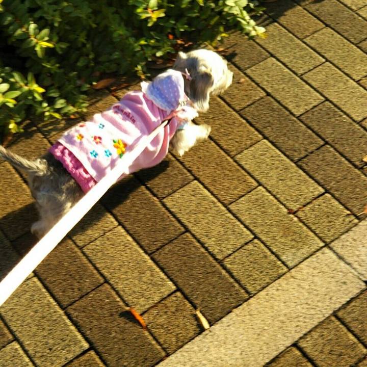 4095a023 8e00 4580 bdd6 6672727ba2aa 1508282325218