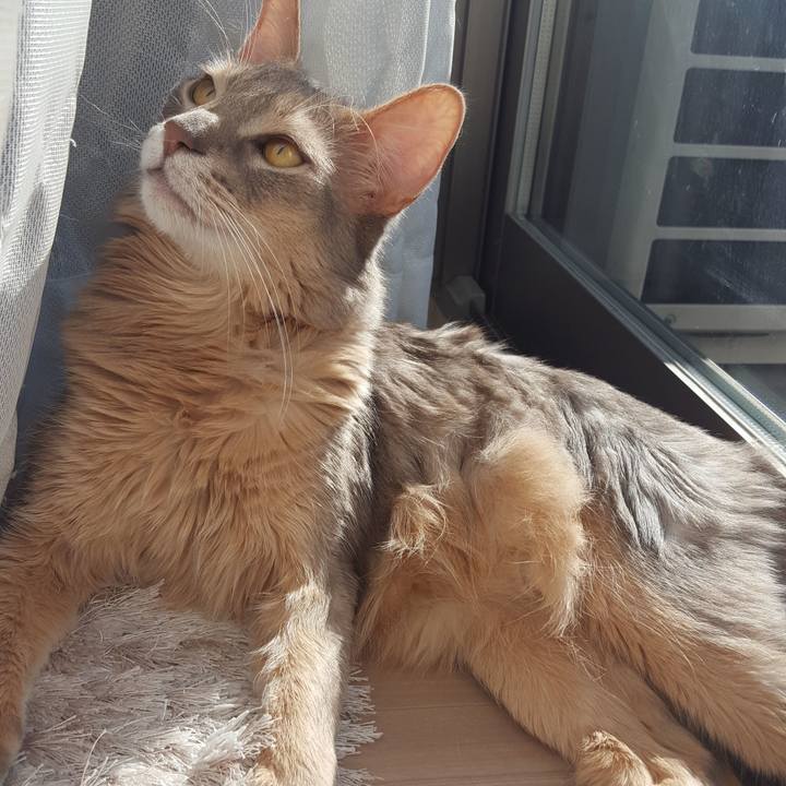 4095f122 329b 4520 86b5 b0c7bfc336bf 1581382774813