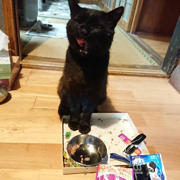 409666ce 85fc 49e5 bce3 fc00c1c6244a 1625052405579