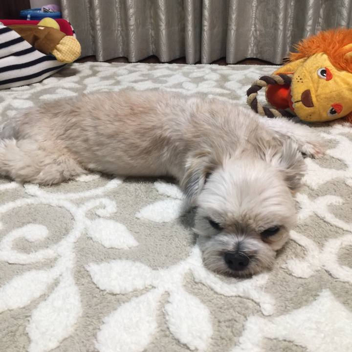 40972f59 8978 4435 bb58 f38be825936b 1543578414487