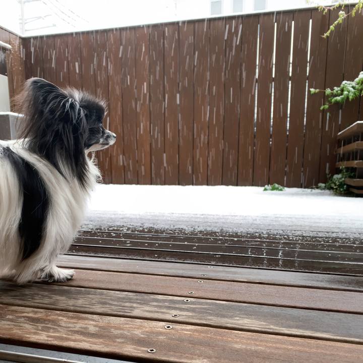 40974e80 7116 43fa a6d4 07f0dbec305a 1585438643312