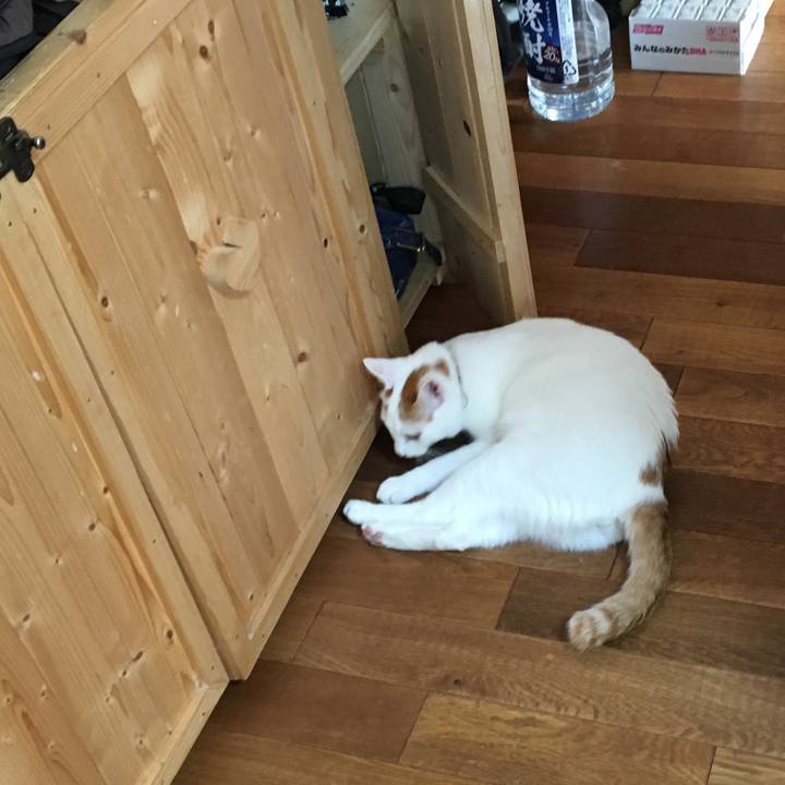 409754f9 cc12 4c26 b236 e7053d942a8b 1527133505670