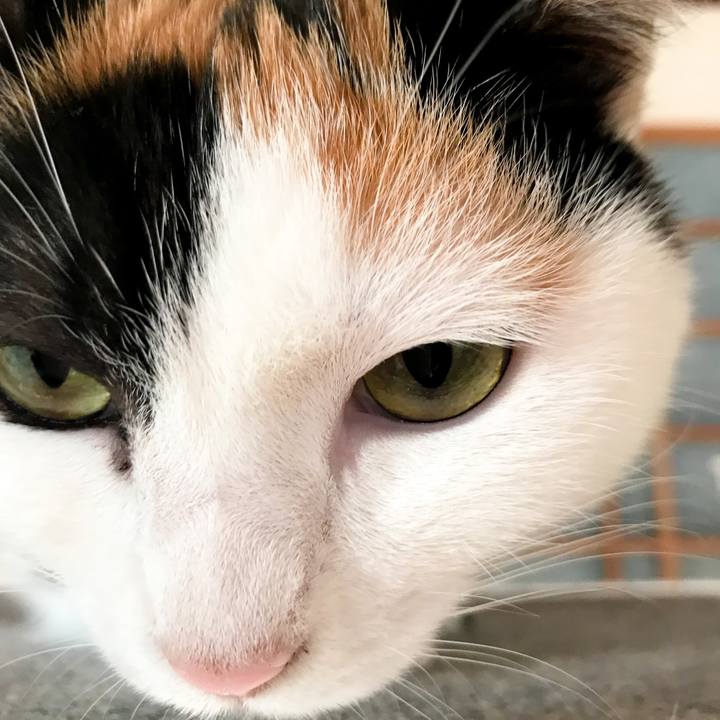 409770d9 b656 4aef b0ae e4519a55d9dd 1518223503127