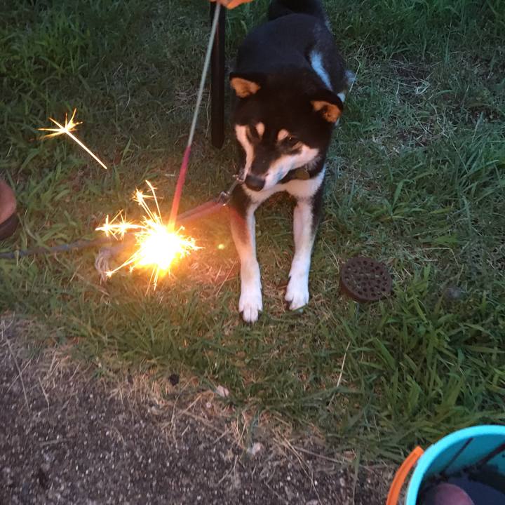 4097893a d5c8 4c50 bf34 1a1044311e3f 1531402133066