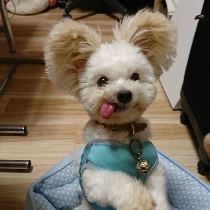 40979312 ee04 46d7 bb29 36cbd22594f6 1568198355504