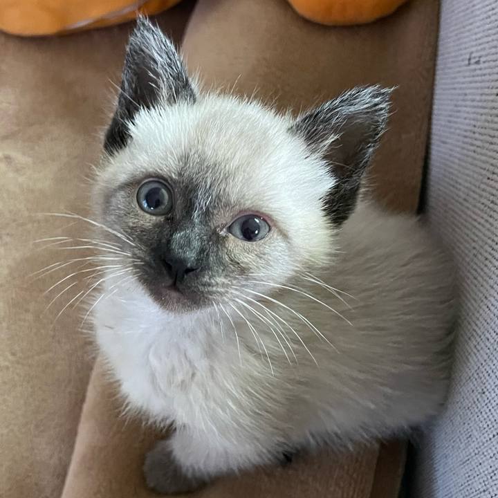 4097cda6 f9bf 4171 ba40 3ecb2f19e349 1686081267872