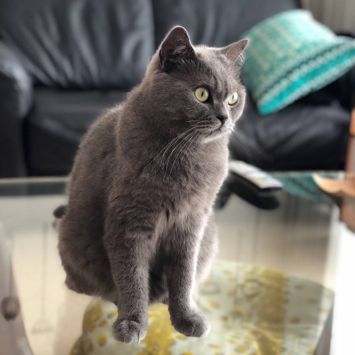 4097d273 5f09 4fd4 a192 2ae0dadae6fb 1532647901457