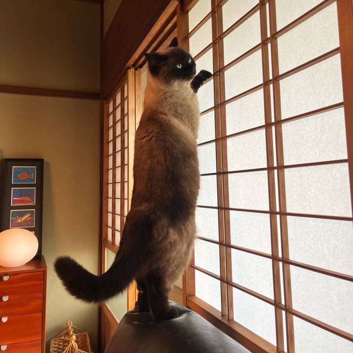 4097e93c 87c3 49e4 bc14 fc4b2c7928bb 1652155592561