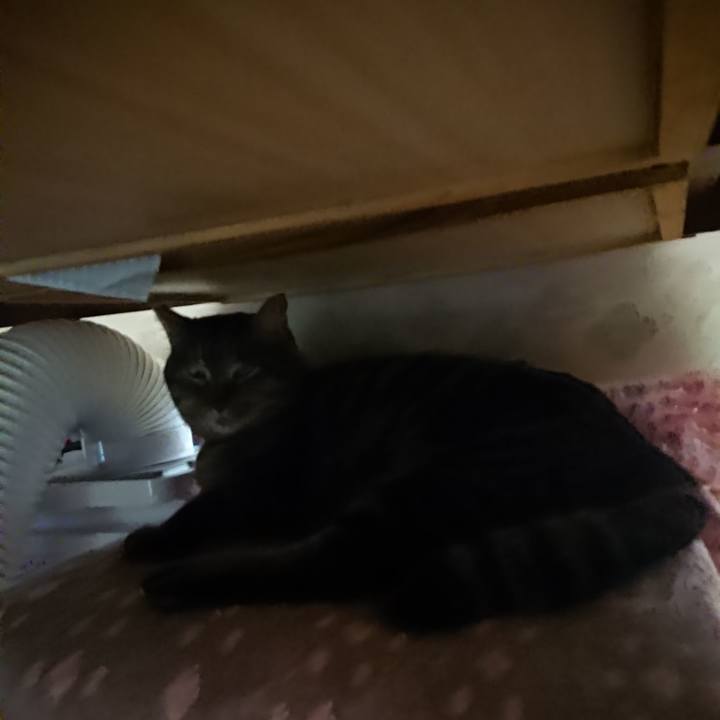 4098040d 9ea5 4e81 8437 cd8f6c026538 1643229752929