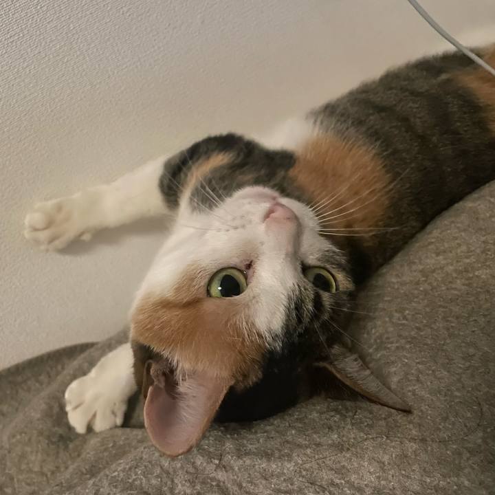 4098074c eda4 4c2d 9877 82bf0d07c1c6 1674373455165