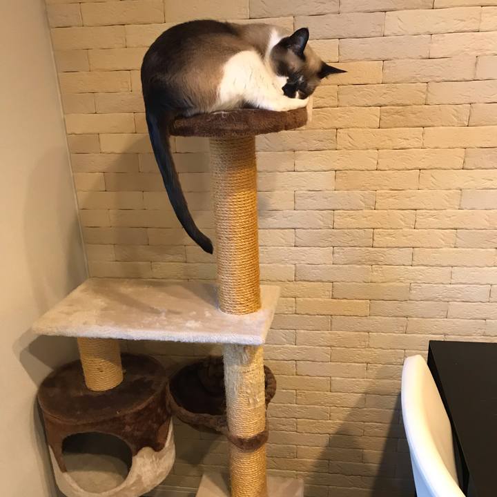 40981aac 7fae 4b23 b438 81c2d8141b55 1568632974547