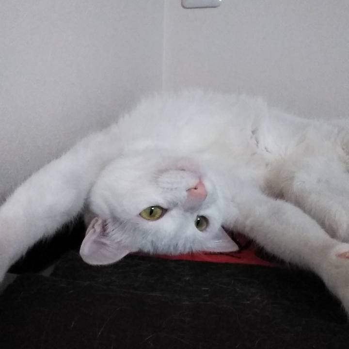 40982d3a 05e4 42f8 99ac 3a630b8d5998 1645067510598