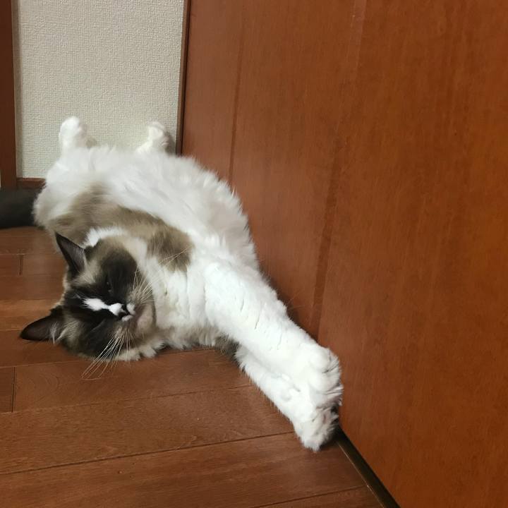 409841cd 3c70 4f1c a9e3 423b6f61969d 1535981816058