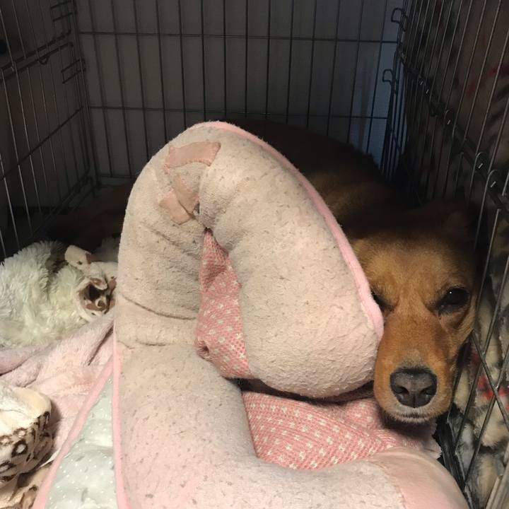 40984443 266e 442b b8f2 e9b344a9fab9 1557569467824