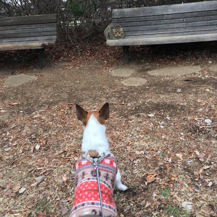 4098515b d0c0 4bf2 a52b 94f6911ce527 1551188299618