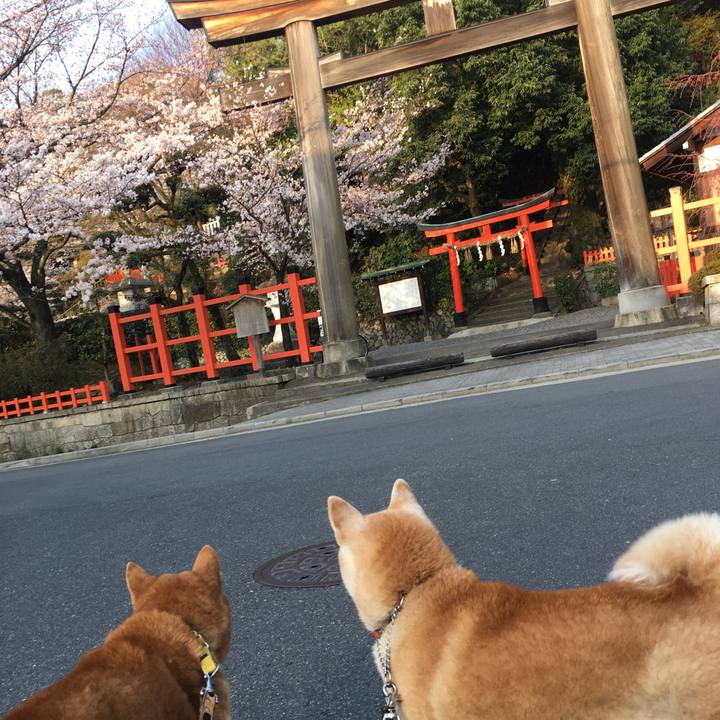 409865bf 1157 4a12 9361 14d7e74738c1 1522106412636