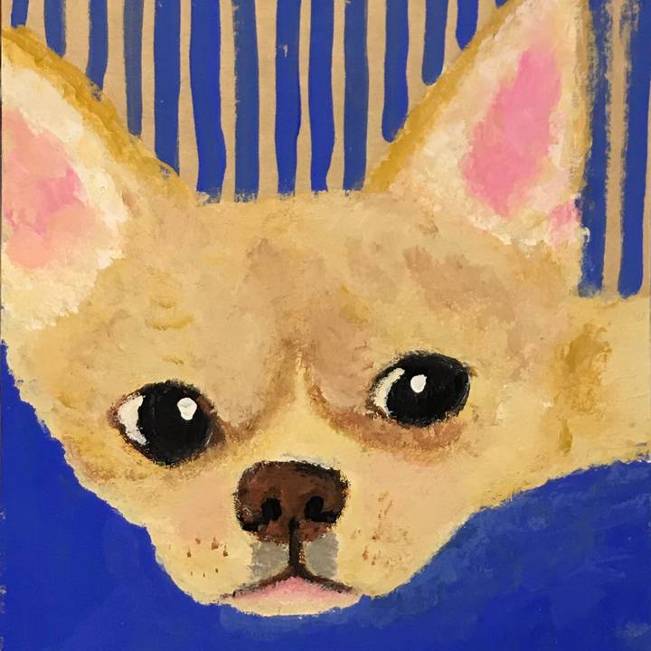 40987419 7cd0 4455 8970 3e7aeb782722 1547127646303