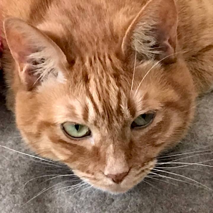 4098a0f3 32a2 4a4d b097 2007603bab4b 1577168271313