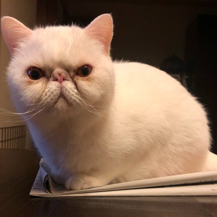 4098aaed aba5 4d6a 8e28 2814425495b1 1647511873346