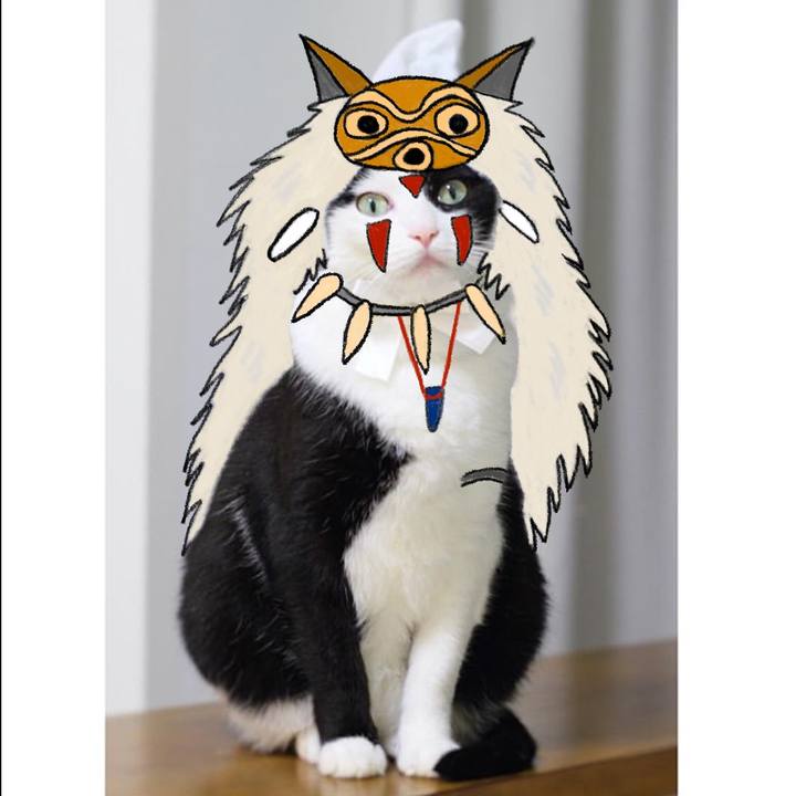 4098adb4 d4e8 4c73 b70c feb038b2fba2 1628859172142