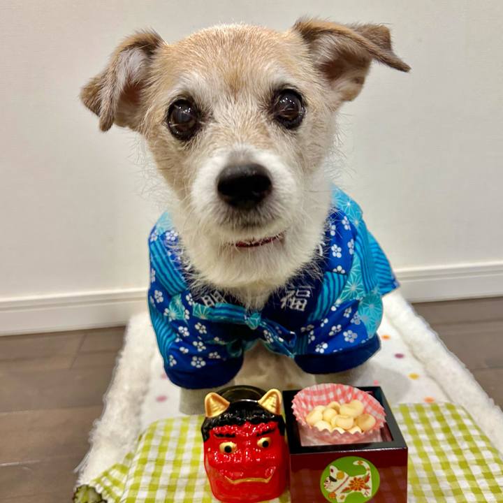 4098b5df fe81 410c 8441 6ff7e8c415a6 1706996733532