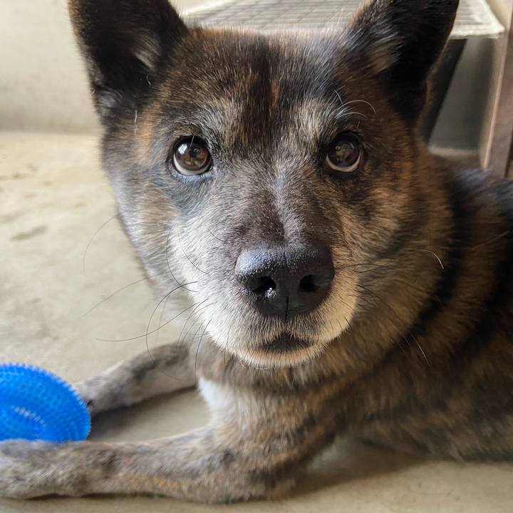 4098c5bf 775d 46a7 a4f7 9c83d2ef83f1 1640836553455