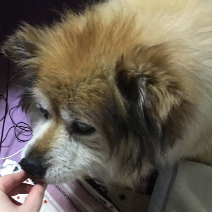 4098deee 3e9a 4f97 93cf 9a002fd81717 1559324914979