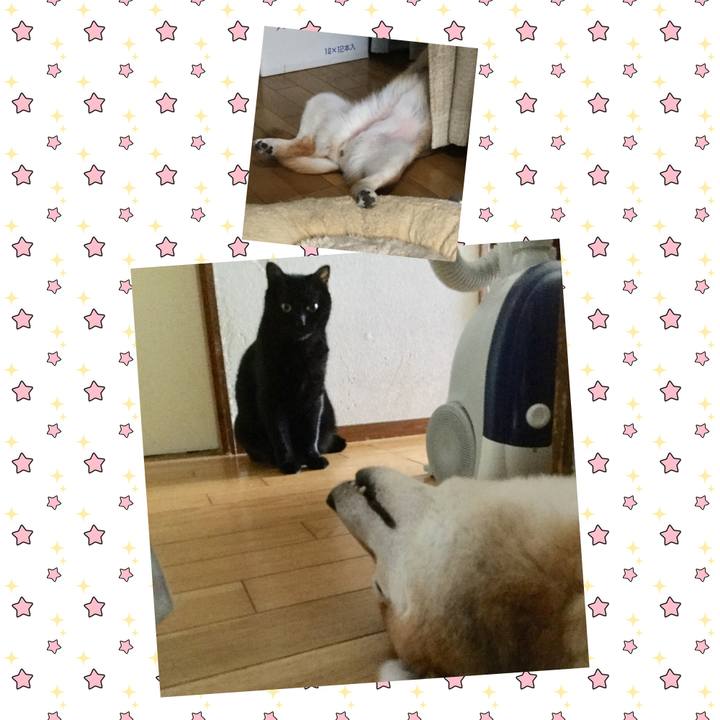 40992899 deb3 425b b6e2 c158b27c5f65 1624763121619