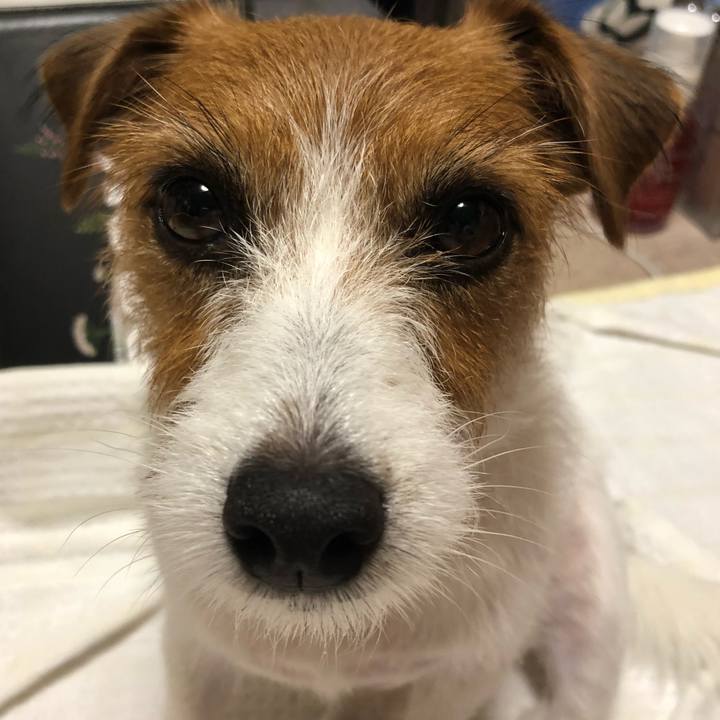 40994ee0 f4ff 4484 aafd a6899a236f89 1534337782339