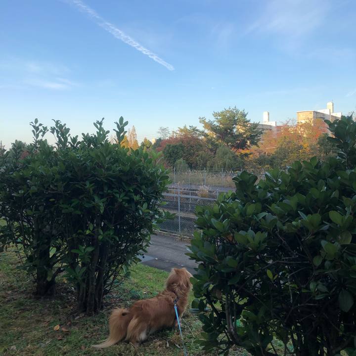 40997ece f08b 416d 98b4 49e726ff4a24 1542495386813