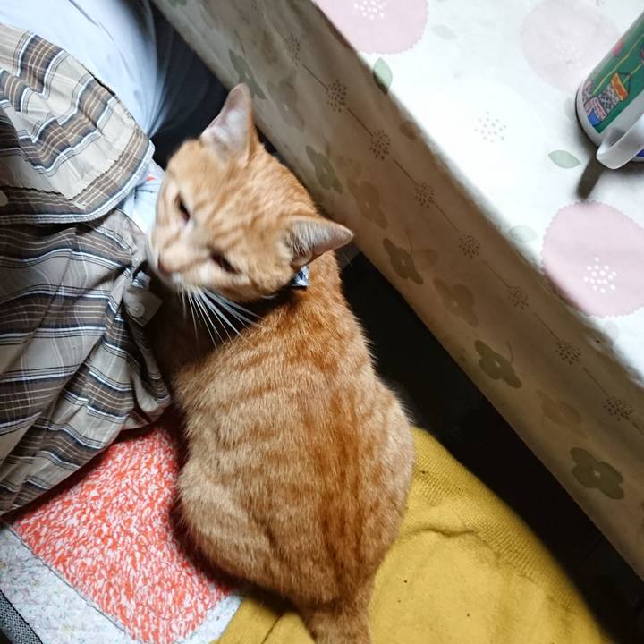 409981ad c5f4 48c3 a5e6 3e824b17a50c 1571259817224