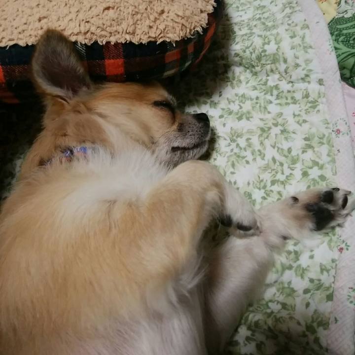 409987d6 b707 450f 8683 4d7abefa4318 1539514689559