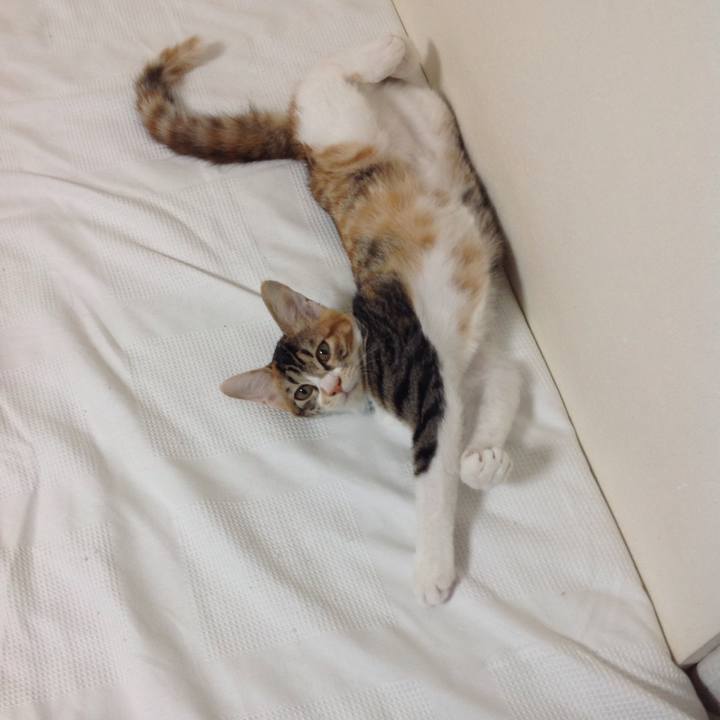 40999b5a a24a 4c39 8515 17f24beaec7c 1630016601189