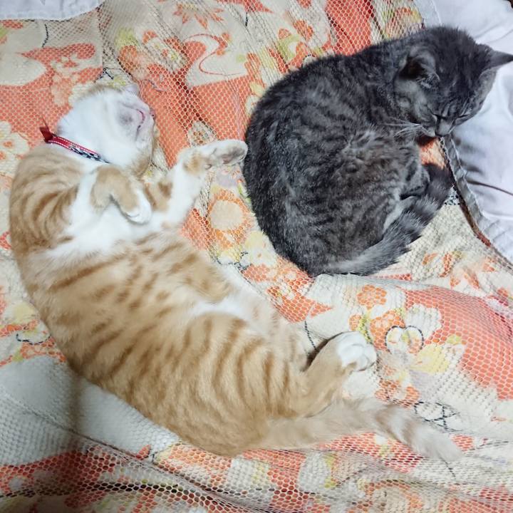 4099bd41 87ca 4b28 bec0 7aaf65219ef5 1570111791794