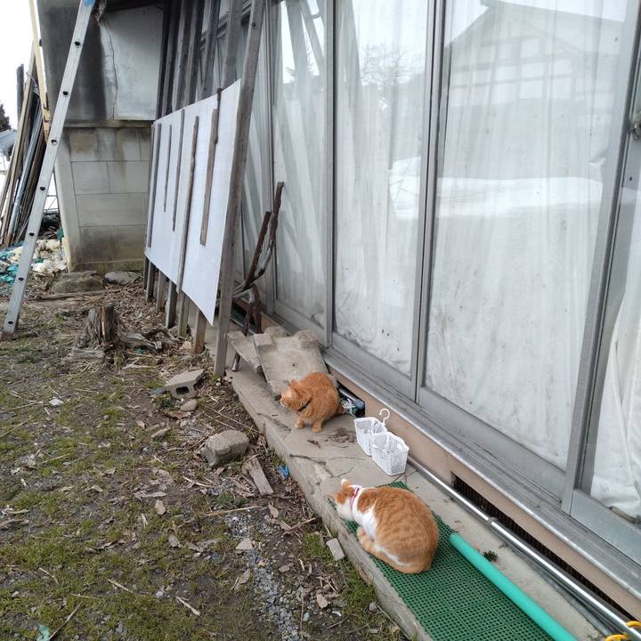 4099c14b abae 4717 906b 30cf2a5c846b 1742521549607