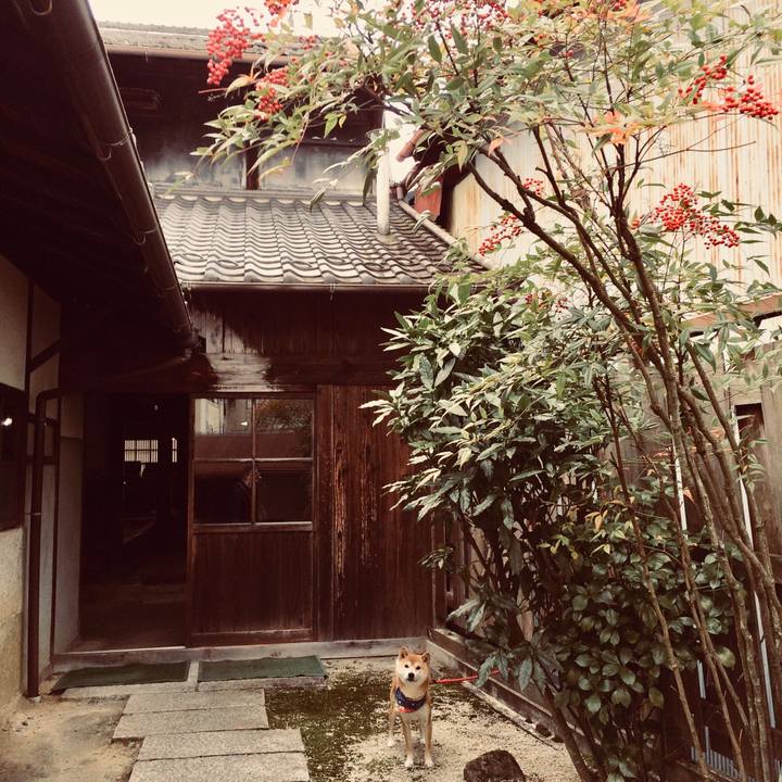 4099f6f7 e481 4033 bab4 557660f9aac7 1520307107478