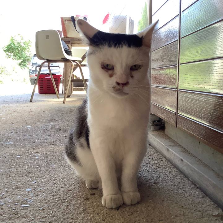 409a00a5 7cd3 4140 9f20 1d7755eedd76 1598769750727