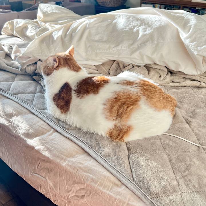 409a502f 3d37 4c62 8e65 eca1007171bf 1764284047776