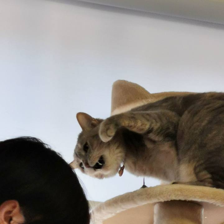 409a897f e47b 43ed 9785 d2812d439240 1624338692138