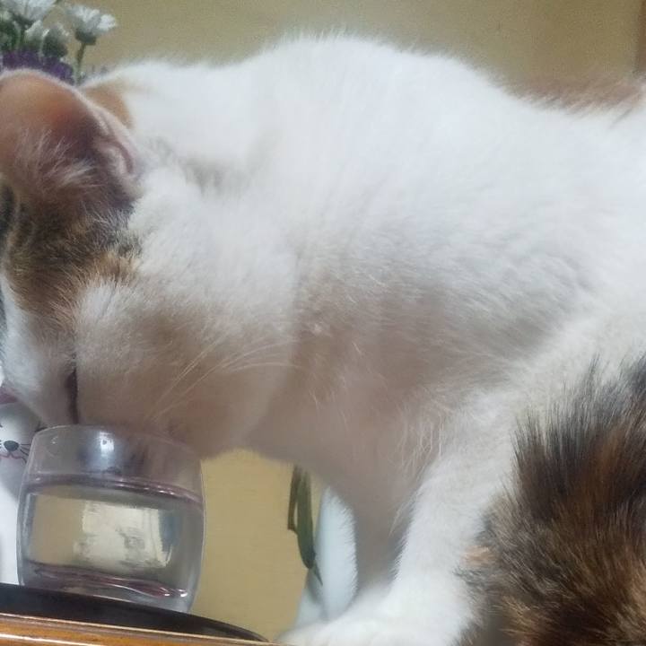 409aac41 9b43 492c 944f 32eac56948fc 1680784540181