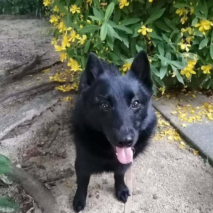 409adeec 9d45 40b4 a7fe fbbf081bf3b0 1623060036636