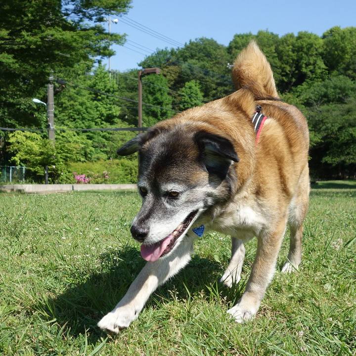 409adf47 aea9 47c6 8416 30ba29600948 1635574076271