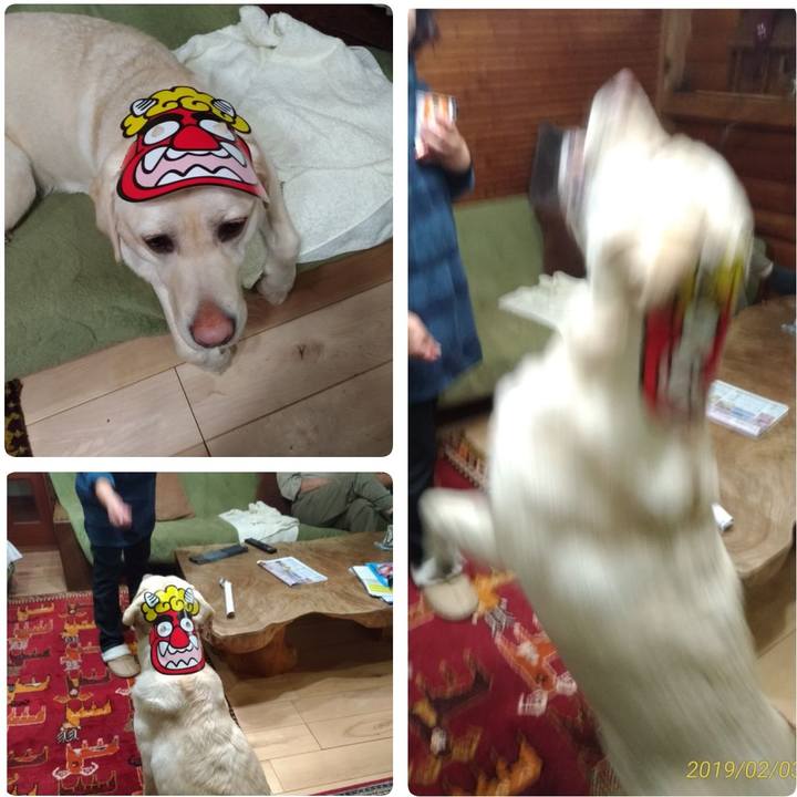 409af728 d6c5 4e76 bd94 0691c11fe2a6 1549191979046