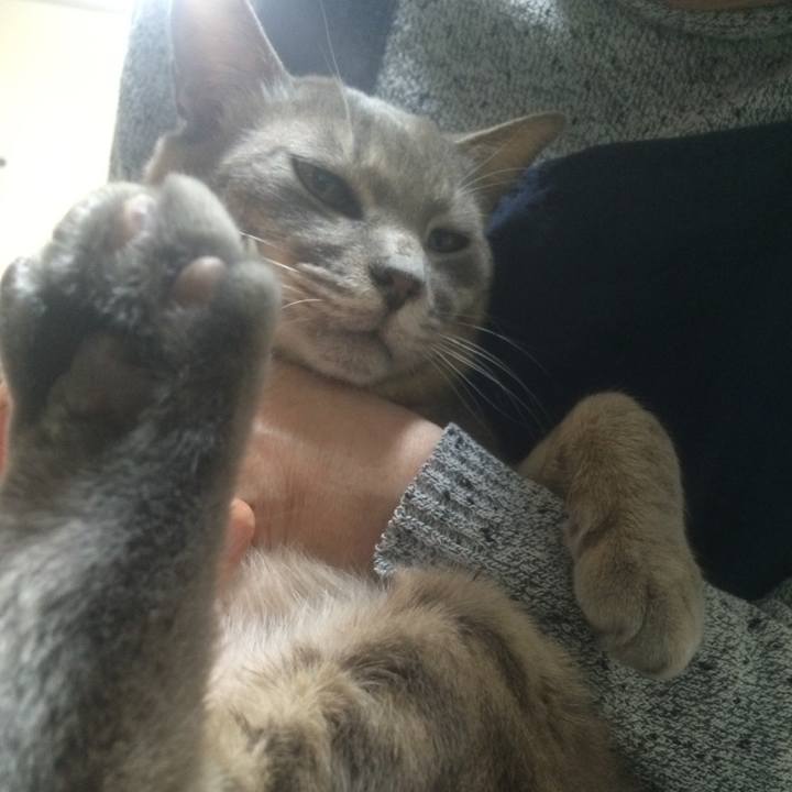 409b5638 98ef 49b8 9d61 f96710ec18b8 1522242362193