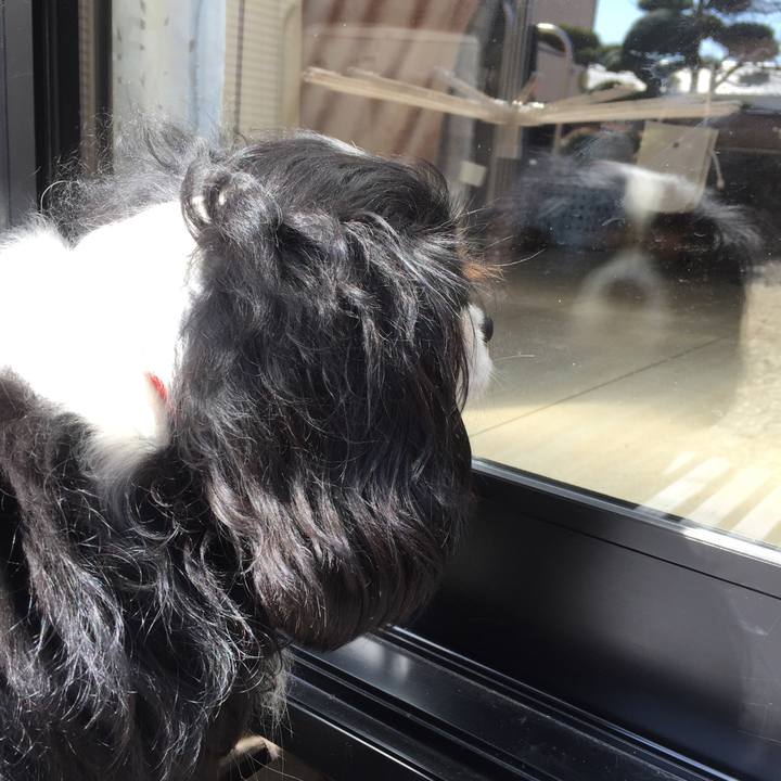 409b5d87 c545 41b7 9fc3 60e73c03cf8b 1518932240301