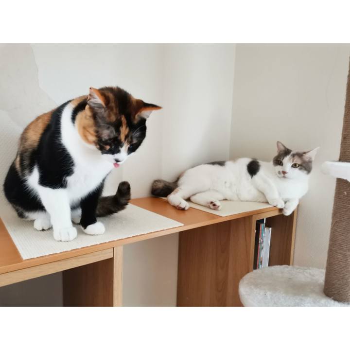 409b7e5b 1502 41cd 985e d255f2ea2ca2 1645333928192