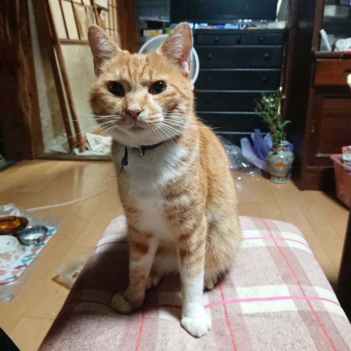 409b9e40 0047 4c85 9a8b 899a5ce0f31f 1599942751047